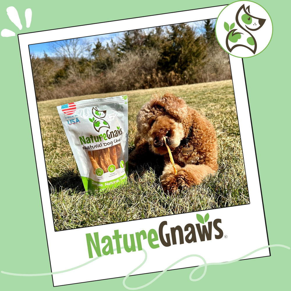 Nature Gnaws USA-made turkey tendons—grain-free snack for all sizes.