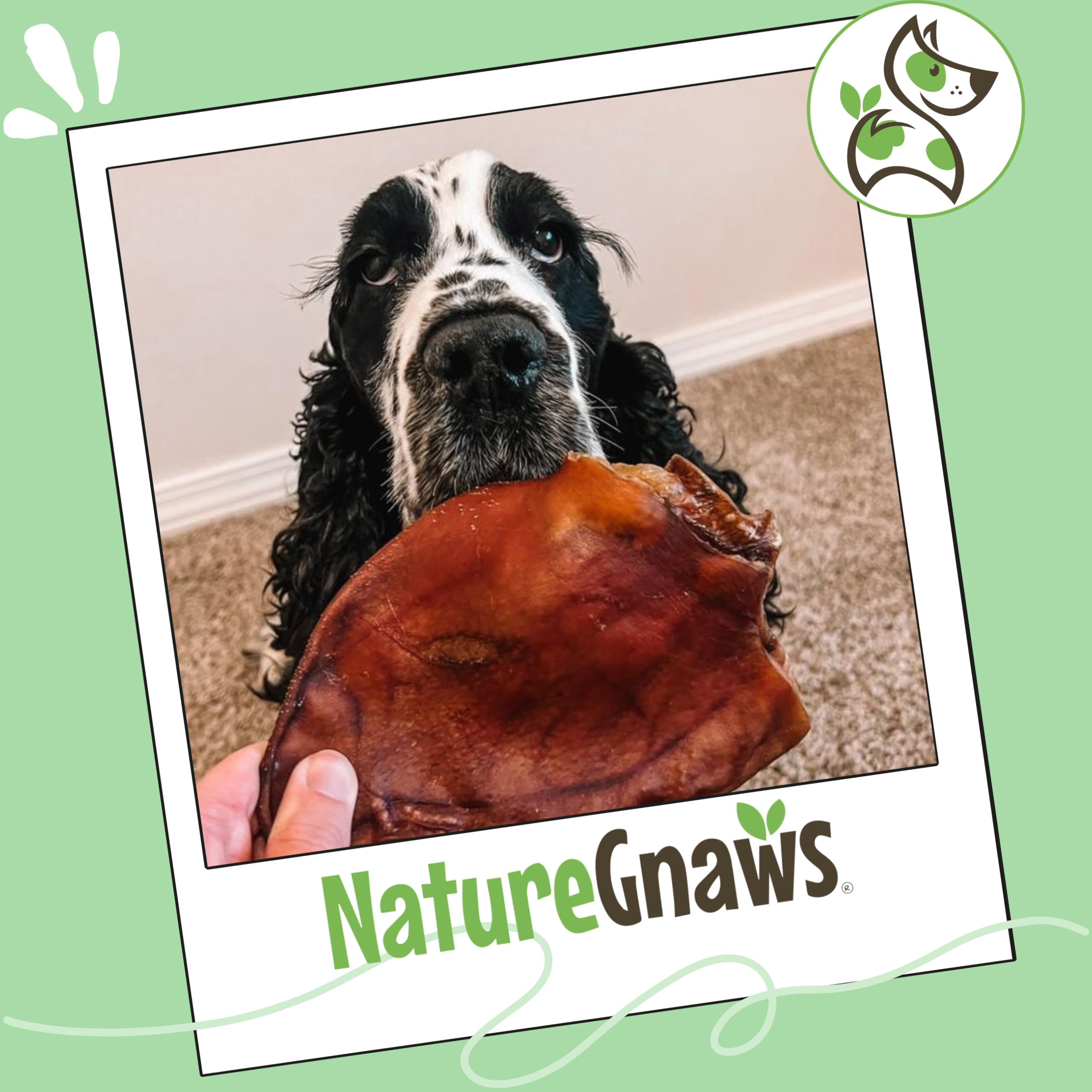 Nature Gnaws USA Pig Ears grain-free alternative to rawhide.