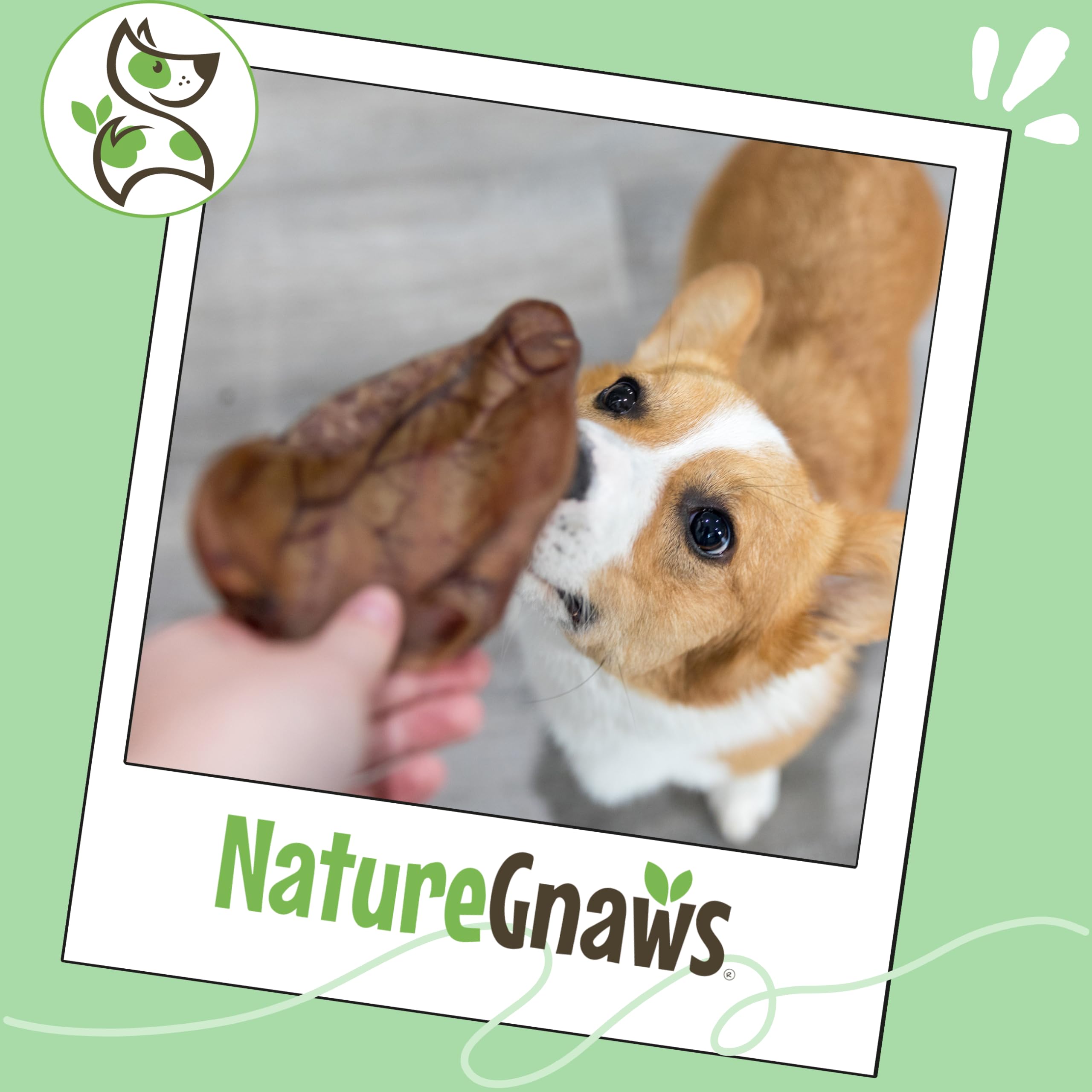 Nature Gnaws USA Pig Ears low-odor chew for calmer pets.
