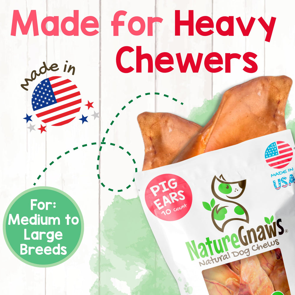 Nature Gnaws USA Pig Ears puppy-teething chew to soothe gums.