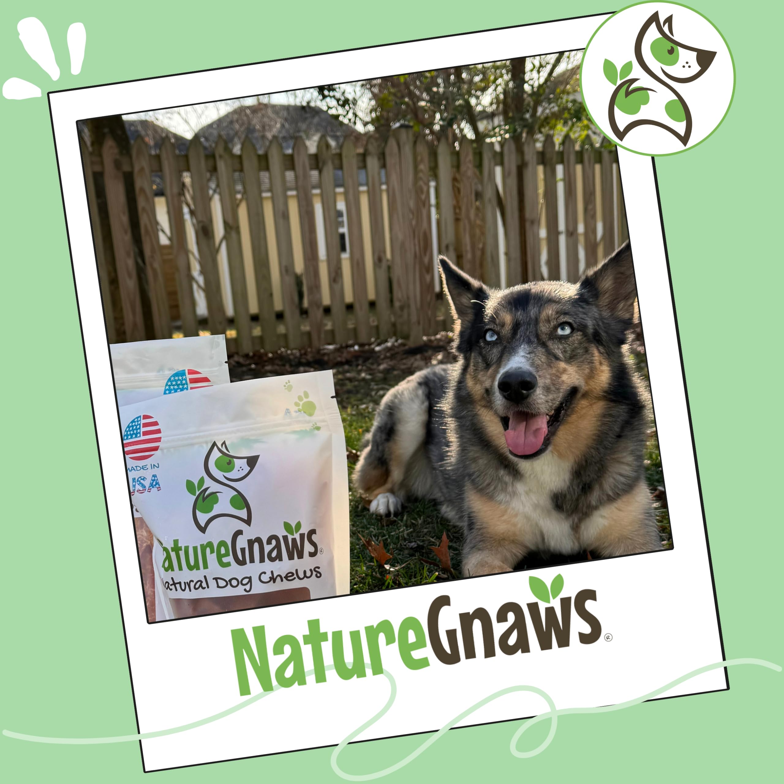 Chewing Nature Gnaws Turkey Tendon Rings may help reduce plaque and tartar.