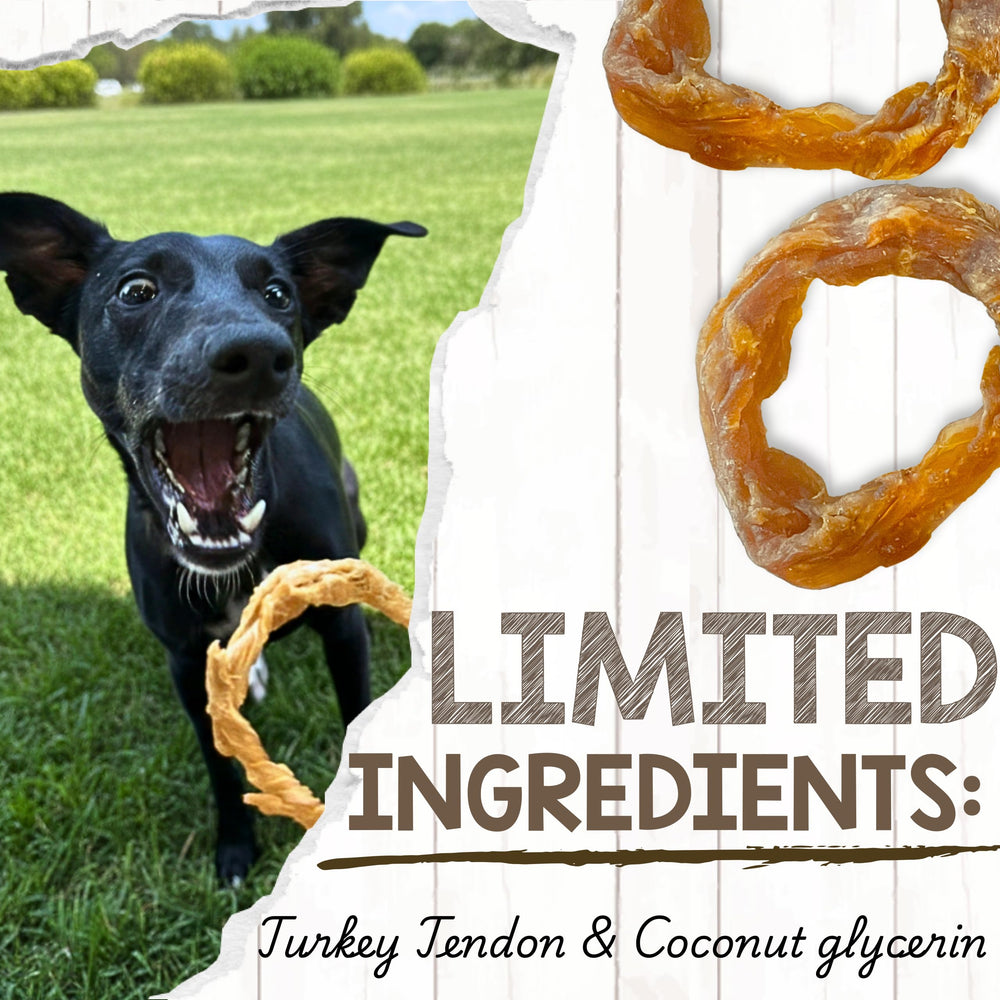 Dog chewing Nature Gnaws Turkey Tendon Rings during playtime.