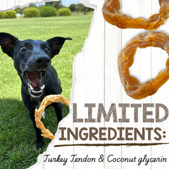 Dog chewing Nature Gnaws Turkey Tendon Rings during playtime.