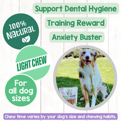 Nature Gnaws turkey tendons durable chews encouraging healthy chewing behavior.
