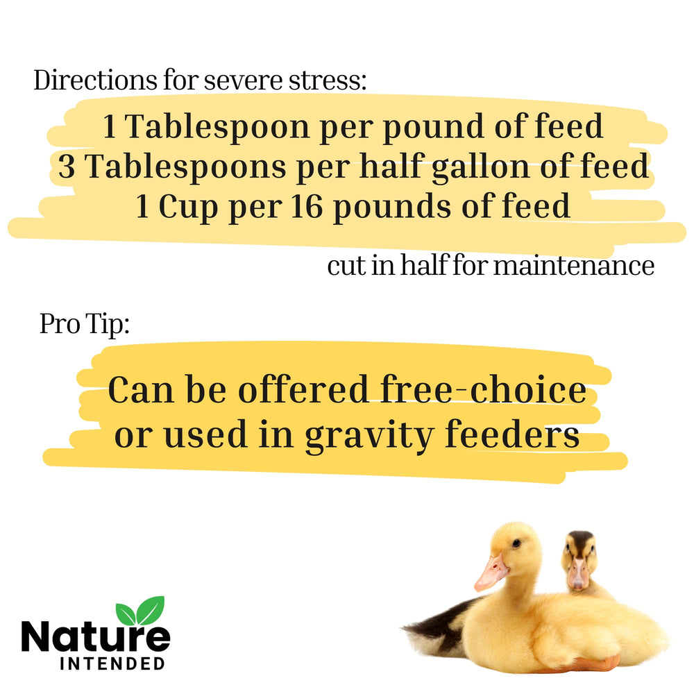 Nature INTENDED egg quality support with enriched nutrition for backyard flocks.
