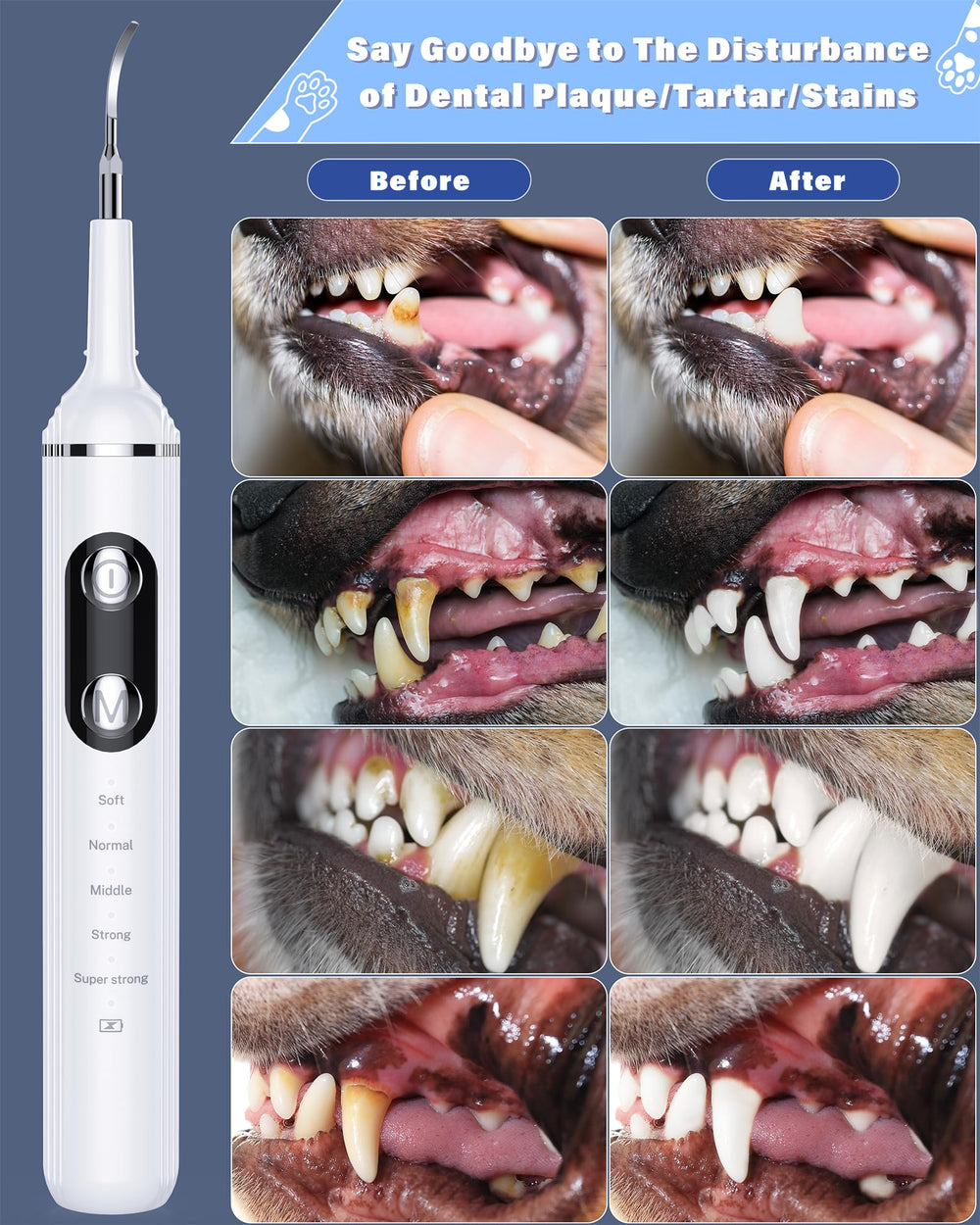 Nature Nerds dental stain eliminator targets tough stains