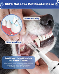 Nature Nerds pet dental kit showing full contents for easy care