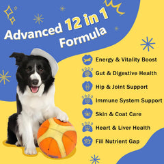 Freeze-dried chews pack designed for easy daily canine supplementation.