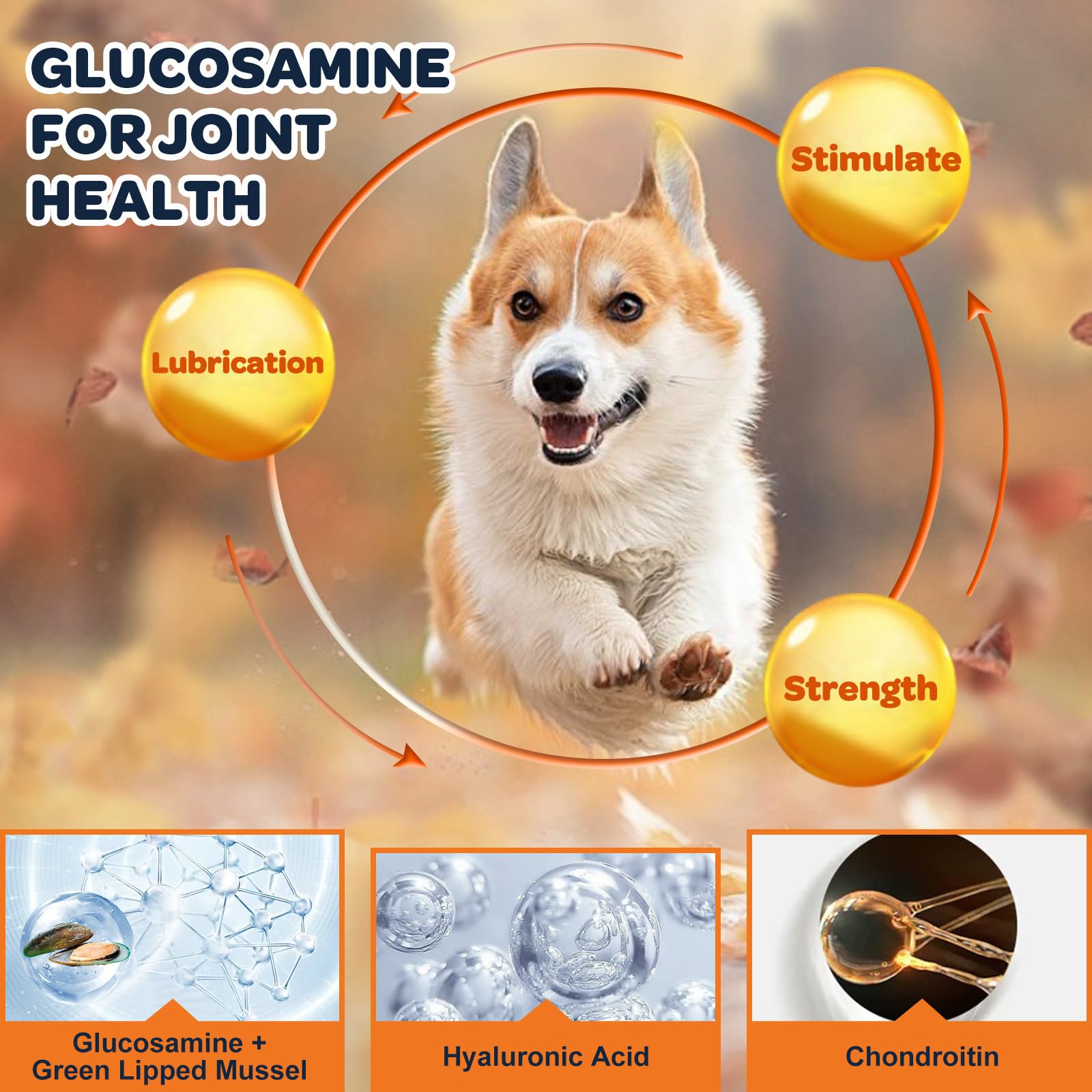 Nature Target glucosamine joint chews closeup, chicken flavor appealing to picky dogs.