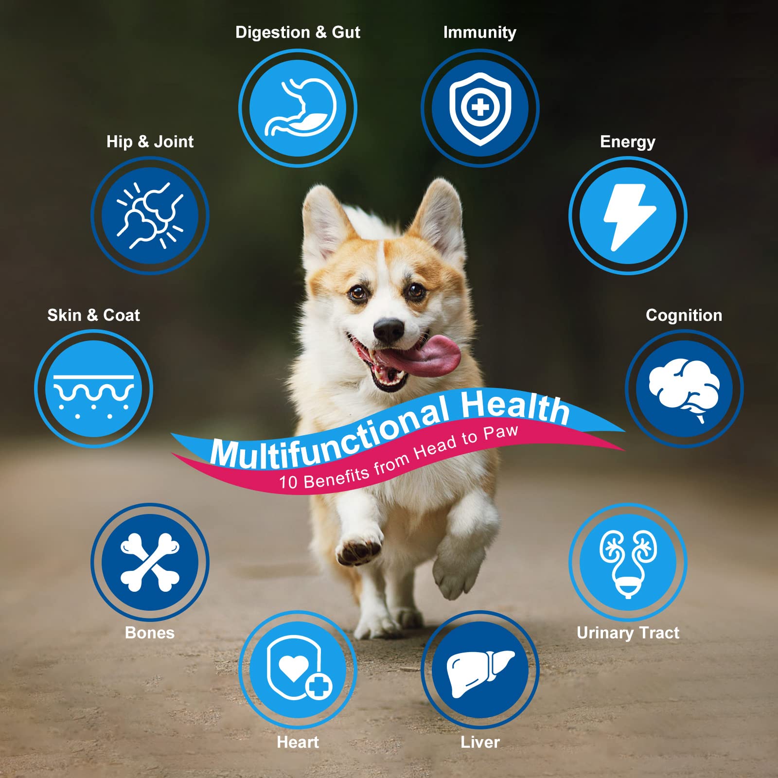 Nature Target joint supplement for dogs supports mobility during activity