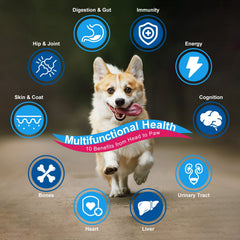 Nature Target joint supplement for dogs supports mobility during activity