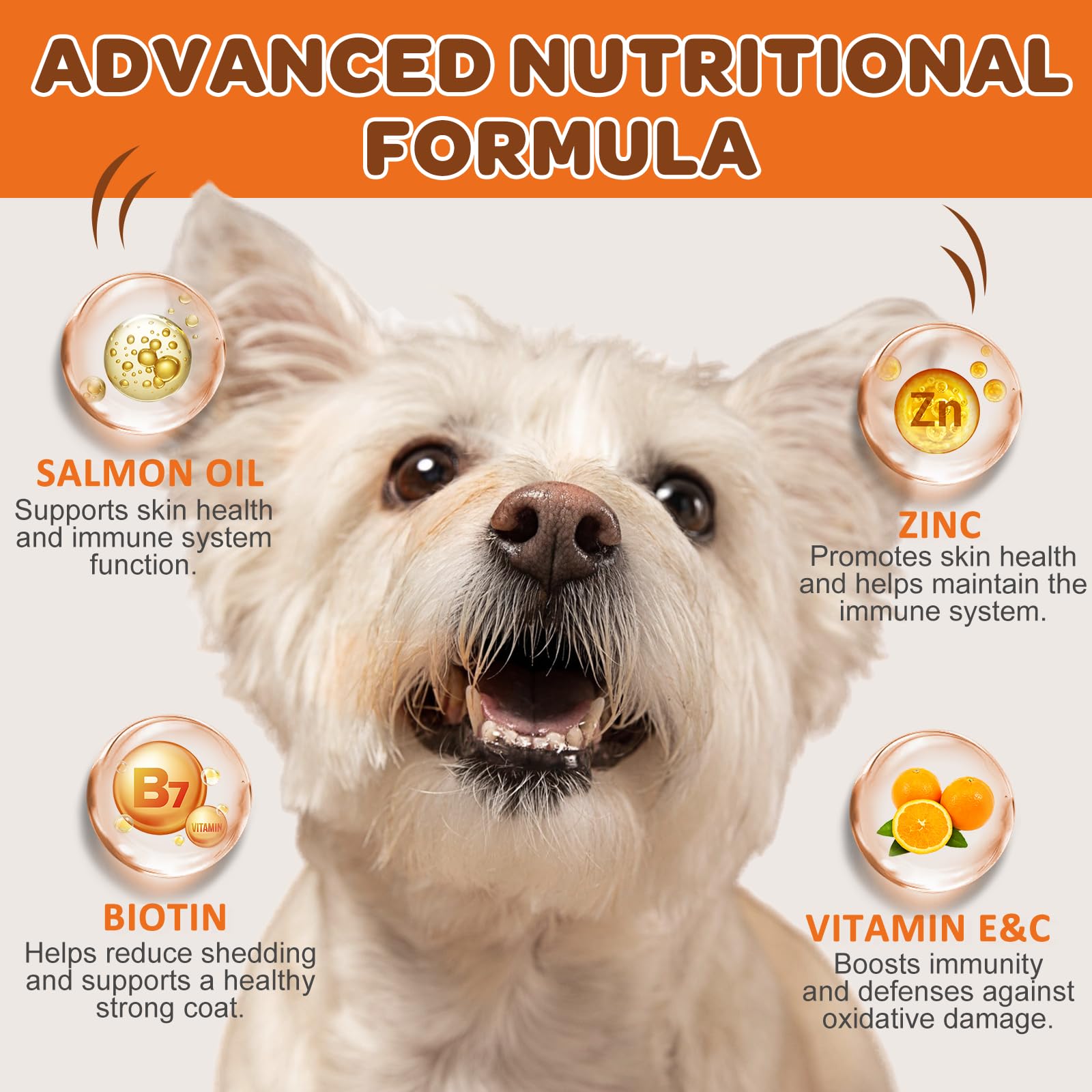 NATURE TARGET Omega 3 Salmon Oil label closeup highlighting high Omega content for coat health.