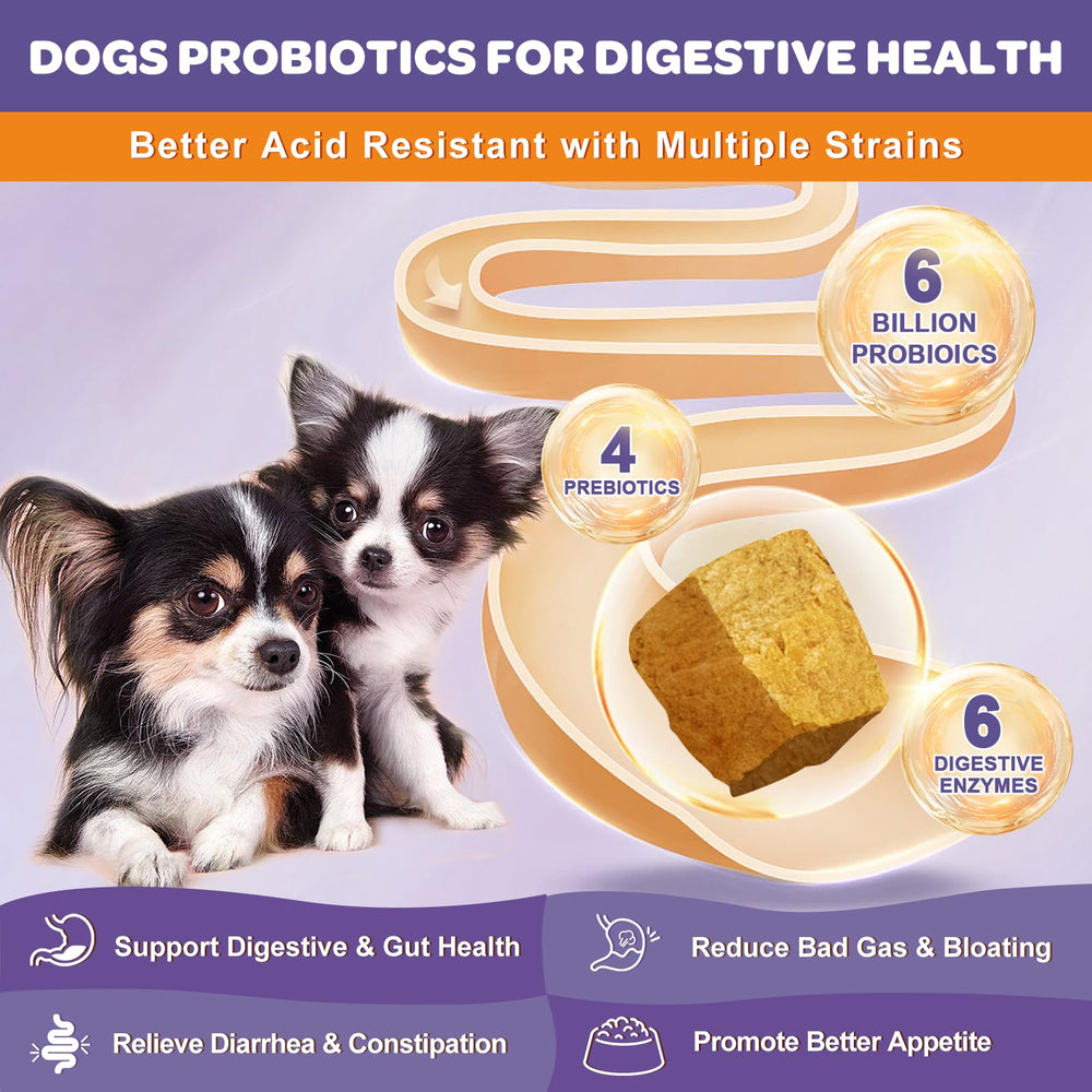 Nature Target dog probiotic chews in hand show tasty, digestion support.