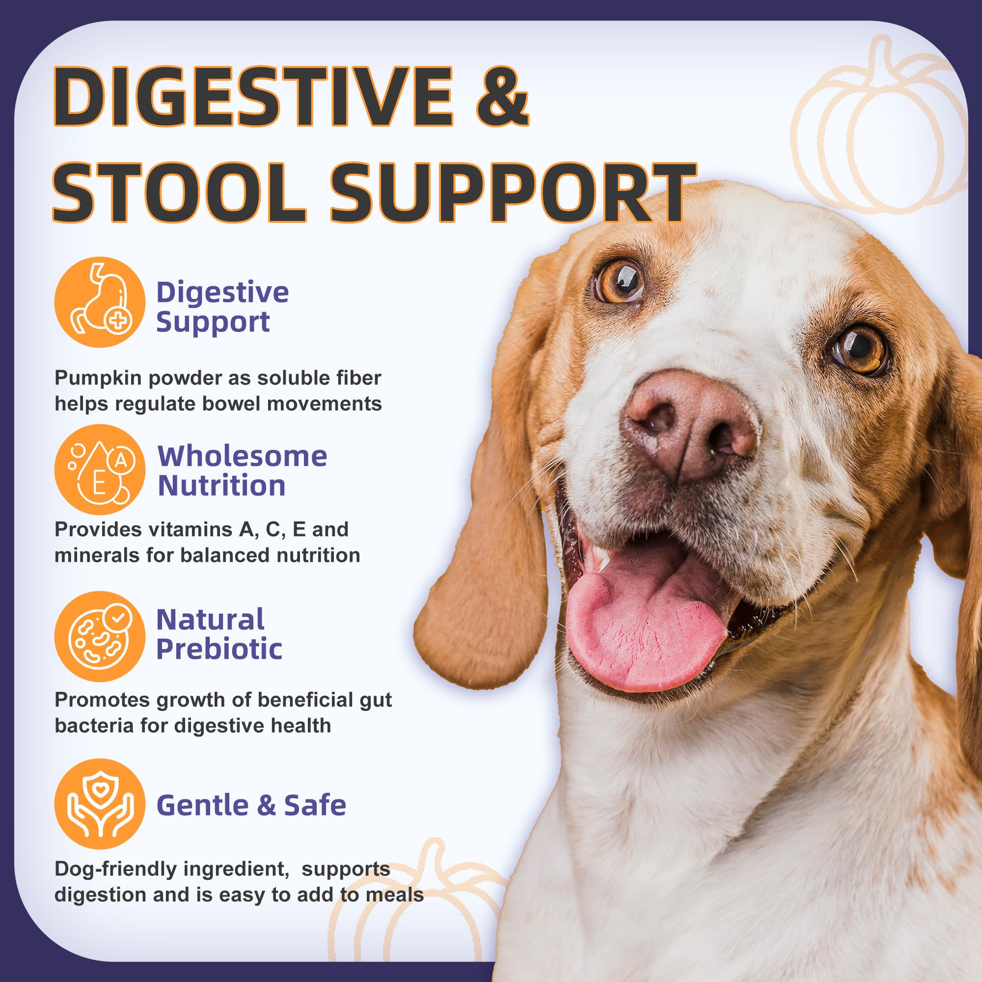 Omega-3 enriched Nature Target probiotics for healthy skin and coat in dogs
