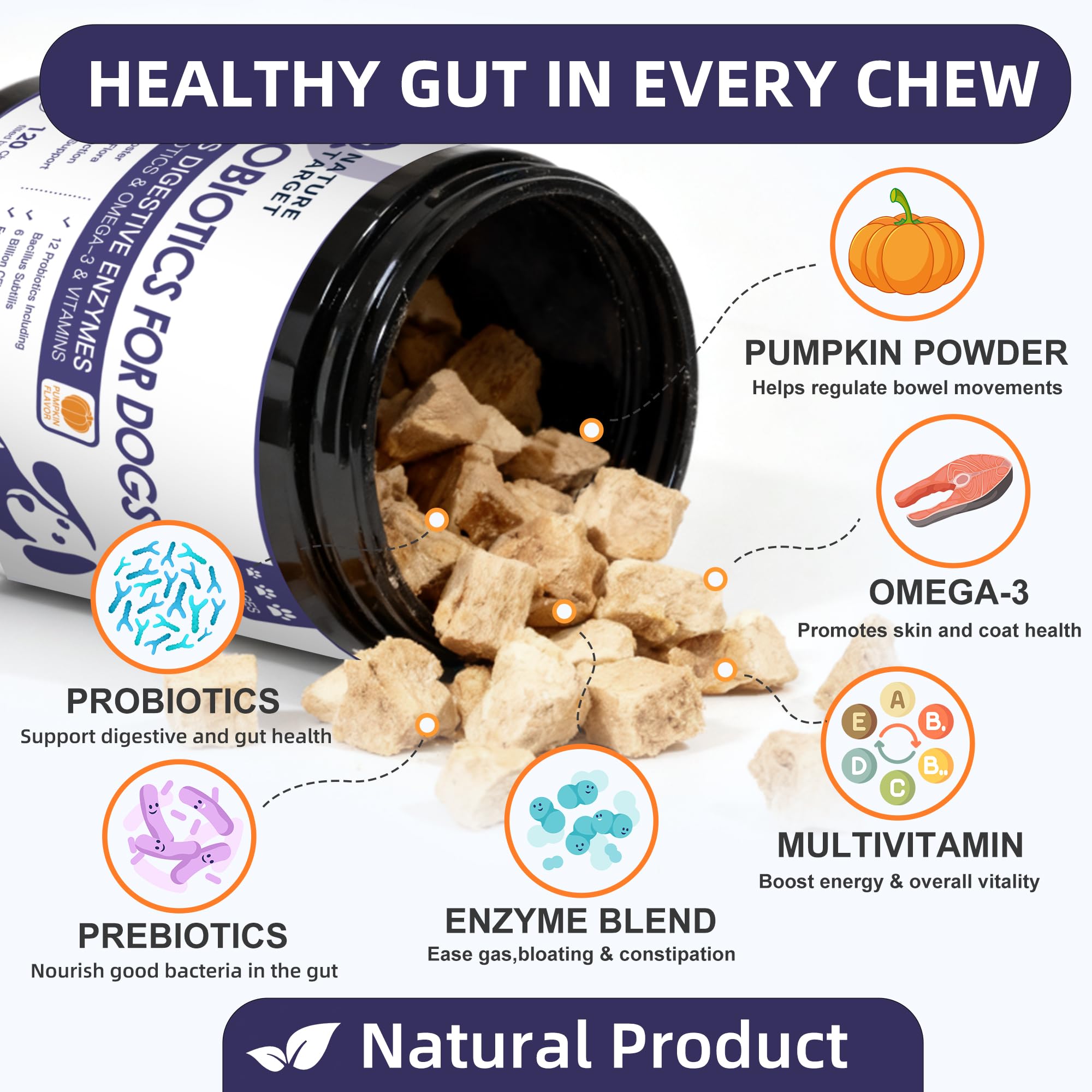 Probiotic blend with prebiotics and digestive enzymes from Nature Target for dogs