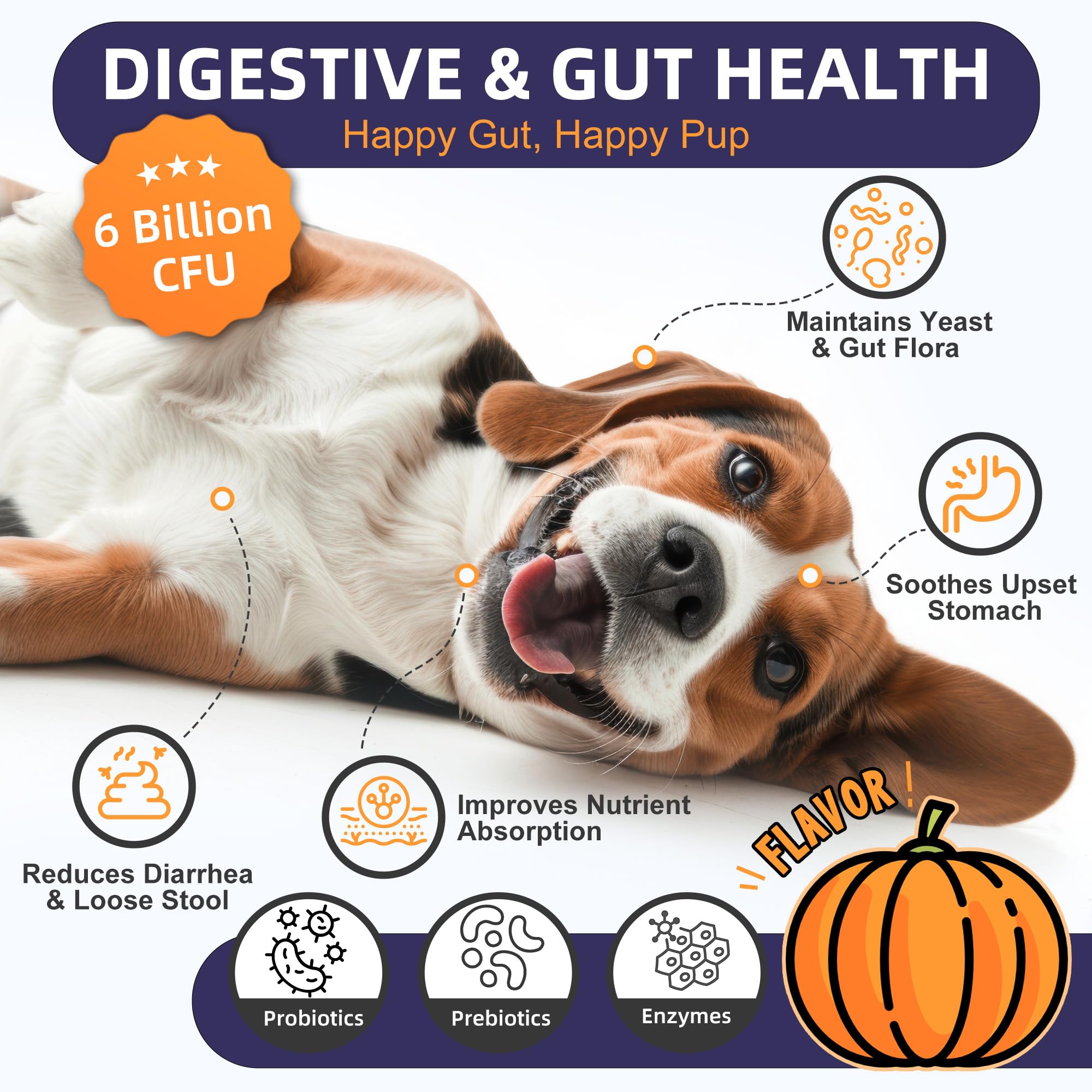 Pumpkin-flavored Nature Target probiotic chews appealing to dogs