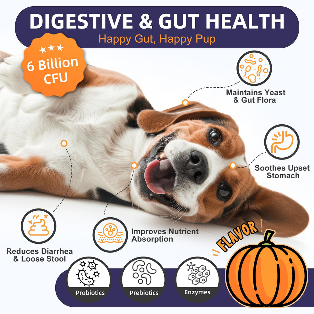 Pumpkin-flavored Nature Target probiotic chews appealing to dogs
