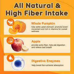 Nature Target Pumpkin dogs puree prep — easy mix for healthy stool.