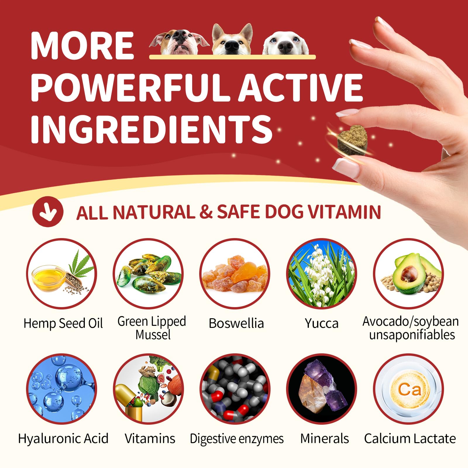 Nature Target turmeric and hemp blend for dogs supports healthy joints