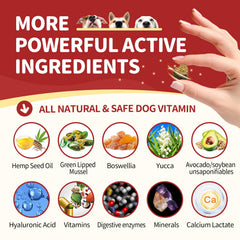 Nature Target turmeric and hemp blend for dogs supports healthy joints