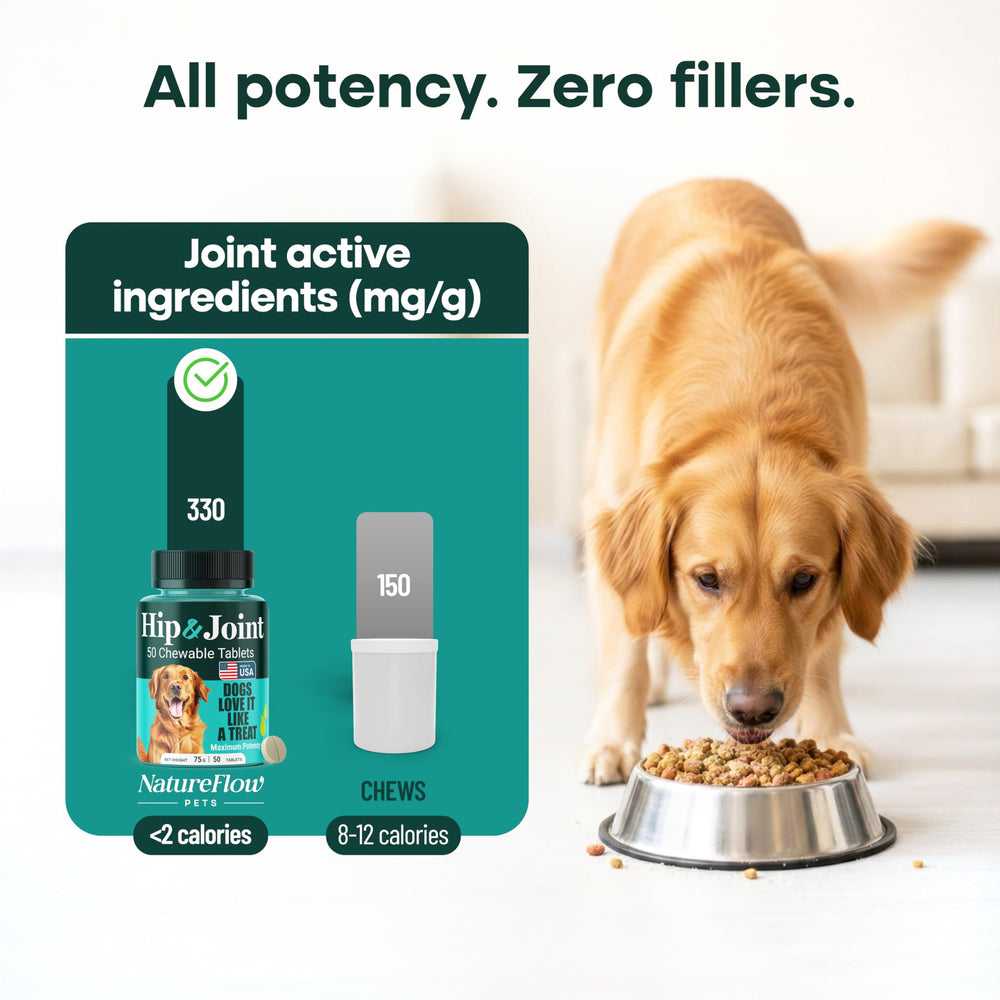 Playful dog enjoying Natureflow joint supplement chews.