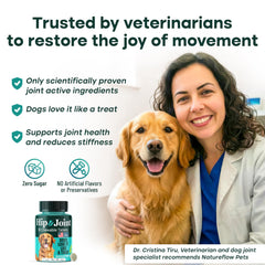 Natureflow dog tablets close-up highlighting sugar-free formula.