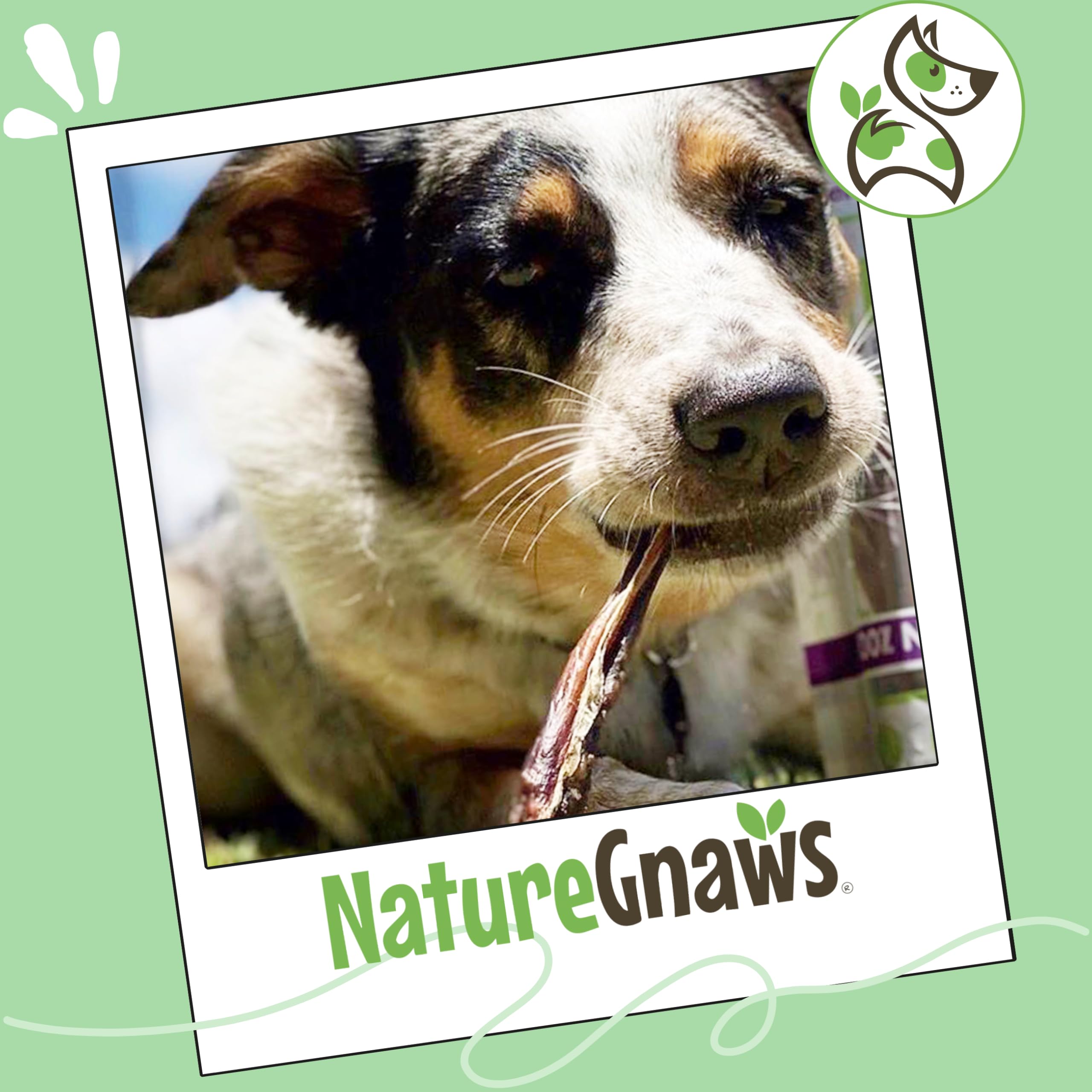 Nature Gnaws natural dog treats bacon aroma, 5-6 inch chew showcase.