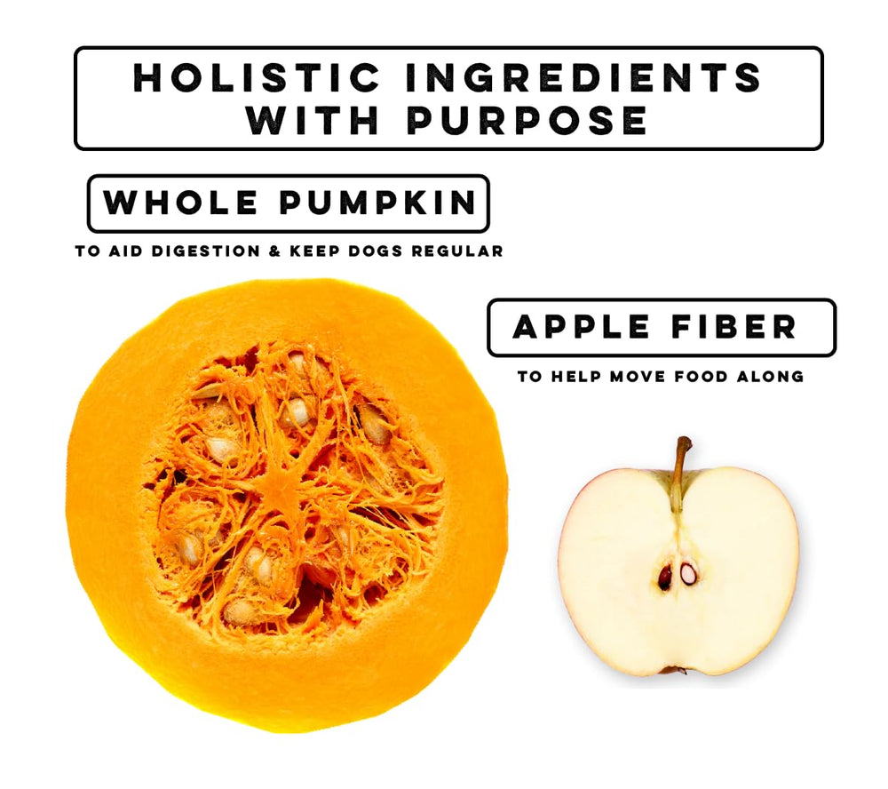 Nature's Diet pumpkin powder scoop demonstrates precise dosing for easy pet care.
