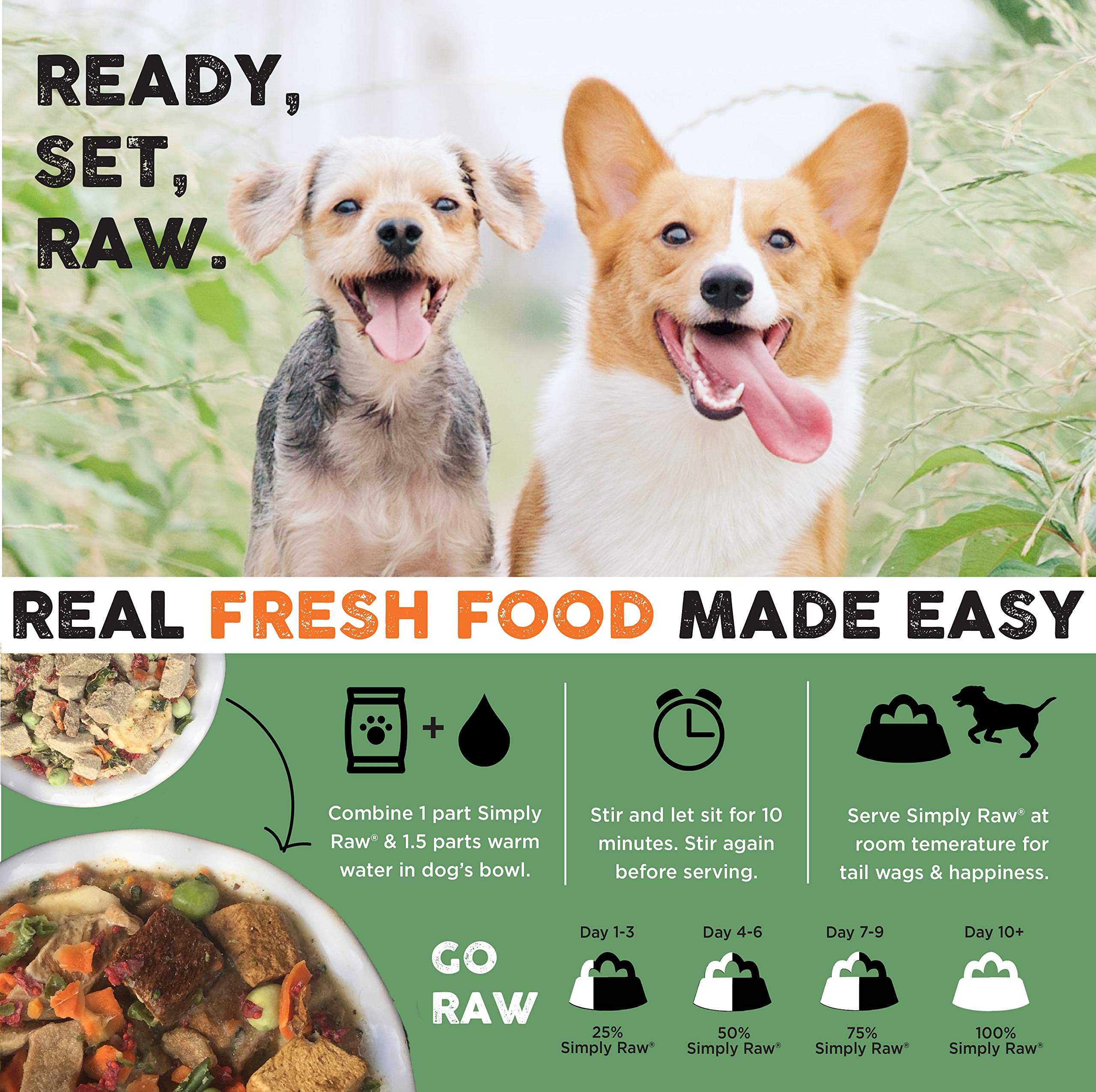 Served portion of Nature's Diet Simply Raw ready to feed with real ingredients.