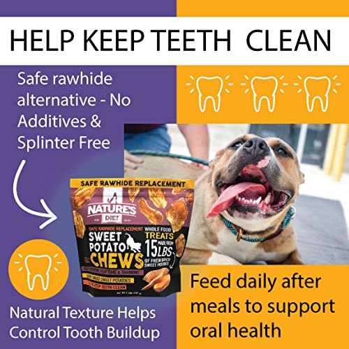 Nature's Diet Sweet Potato Chews XL dog chewing, satisfying natural cravings with a chewy texture.