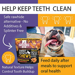Nature's Diet Sweet Potato Chews XL dog chewing, satisfying natural cravings with a chewy texture.