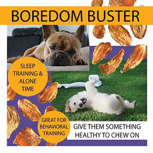 Nature's Diet Sweet Potato Chews XL training reward for dogs during activities.