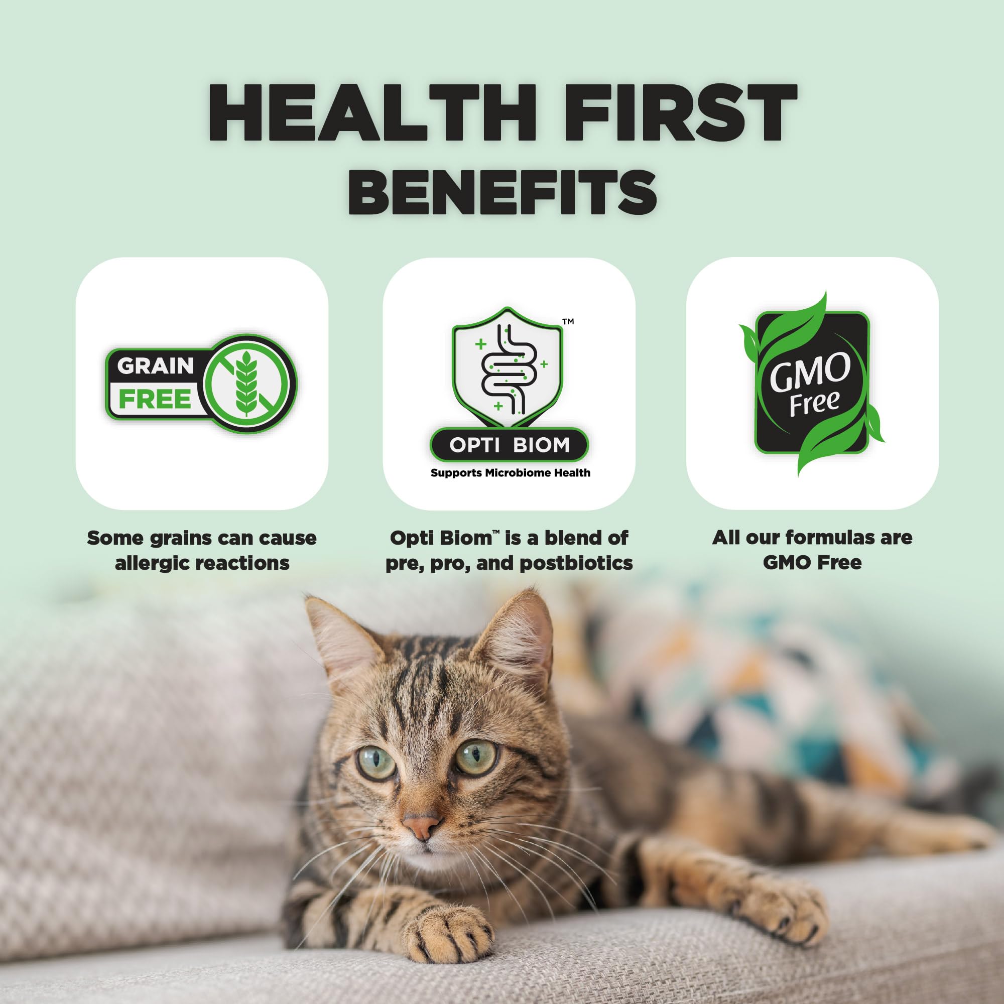 Nature's HUG Just Like Chicken Recipe cat food delivers savory flavor without meat