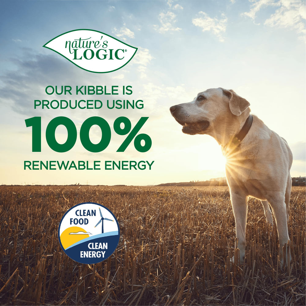 Nature's Logic Kibble moisture boost from Turkey Bone Broth Powder