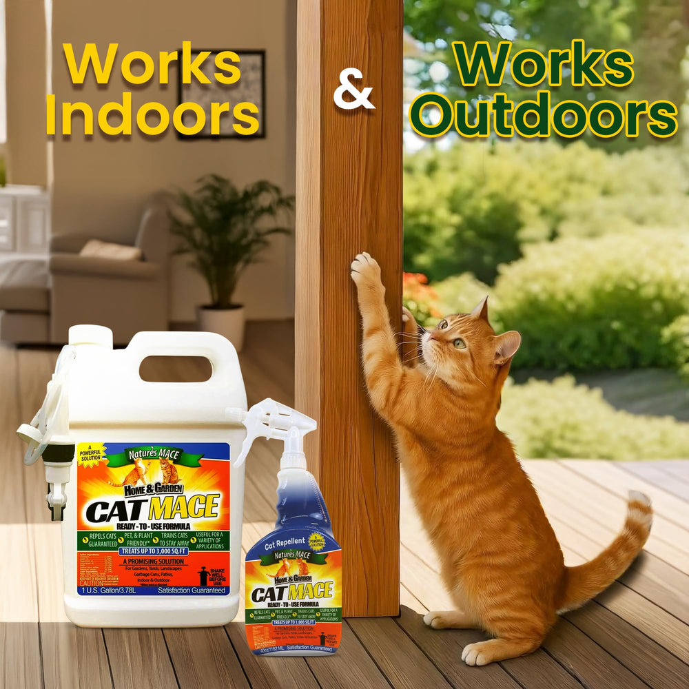 Nature's MACE indoor furniture deterrent spray protects sofa arms and chair legs.