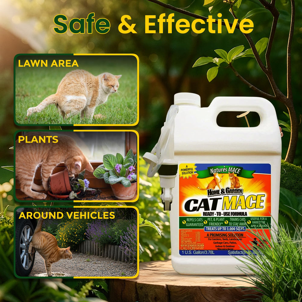 Nature's MACE cat deterrent for outdoor shrubs and trees.