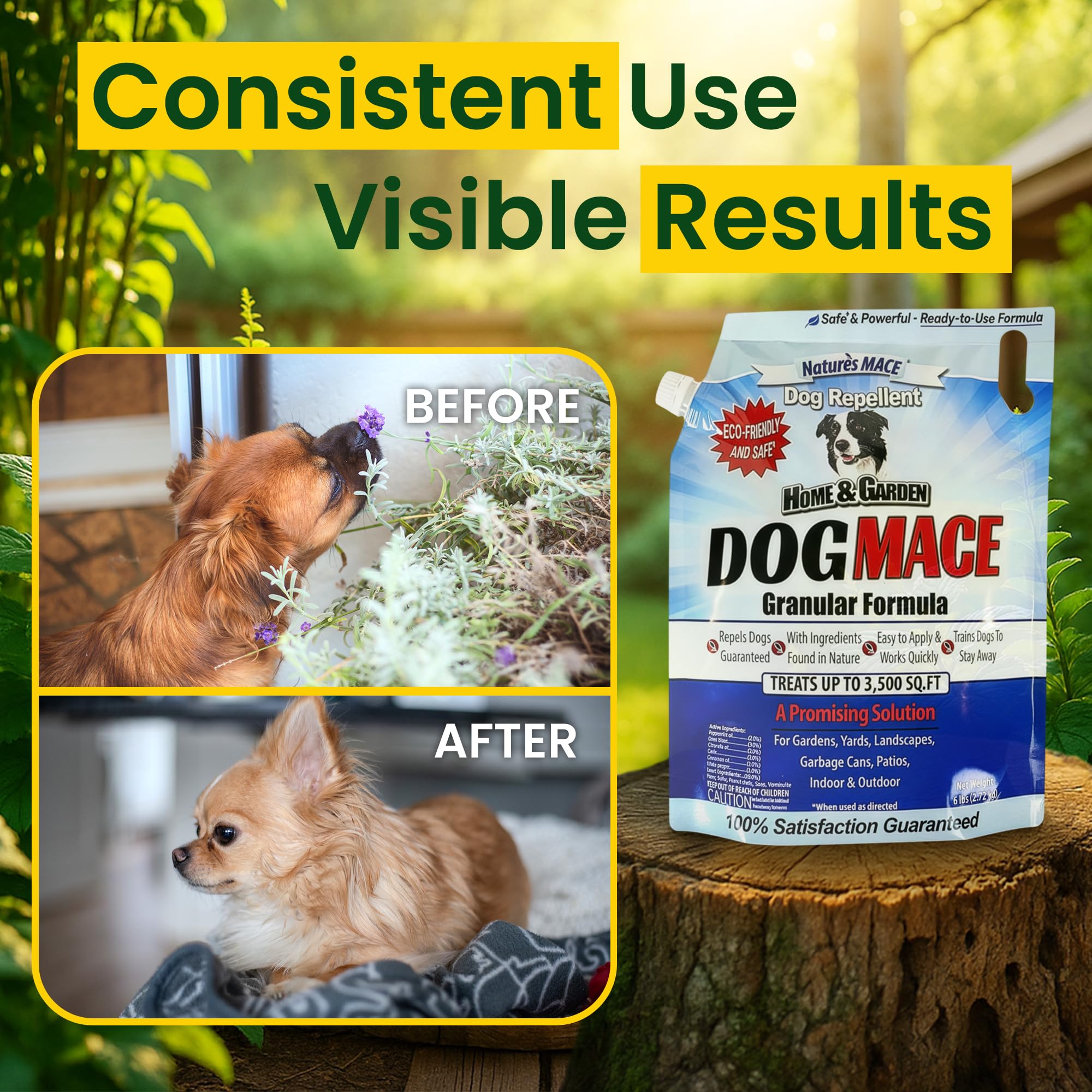 Nature's MACE Dog Mace simple, actionable application tips for outdoor use.