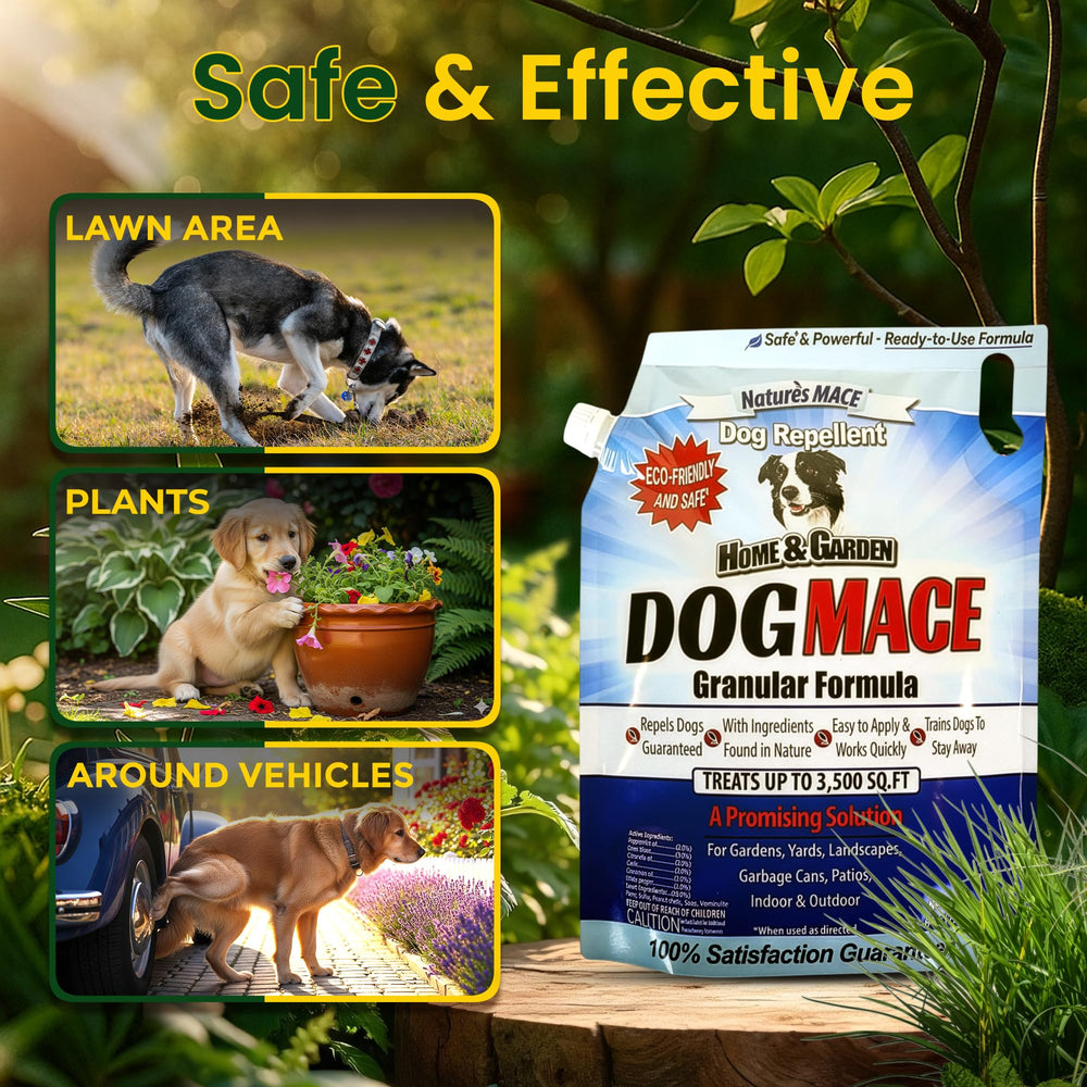 Nature's MACE Dog Mace granules offer even coverage on the lawn.