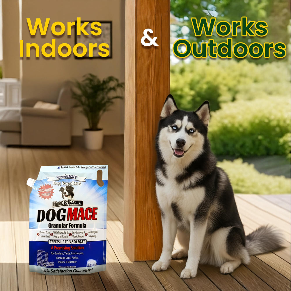 Nature's MACE Dog Mace uses natural oils to create a scent barrier.