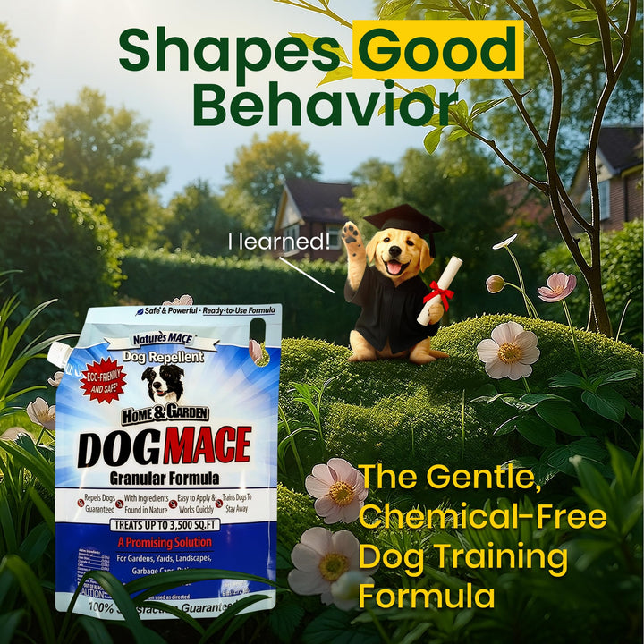 Nature's MACE Dog Mace protects lawns and gardens up to 3,500 sq ft.
