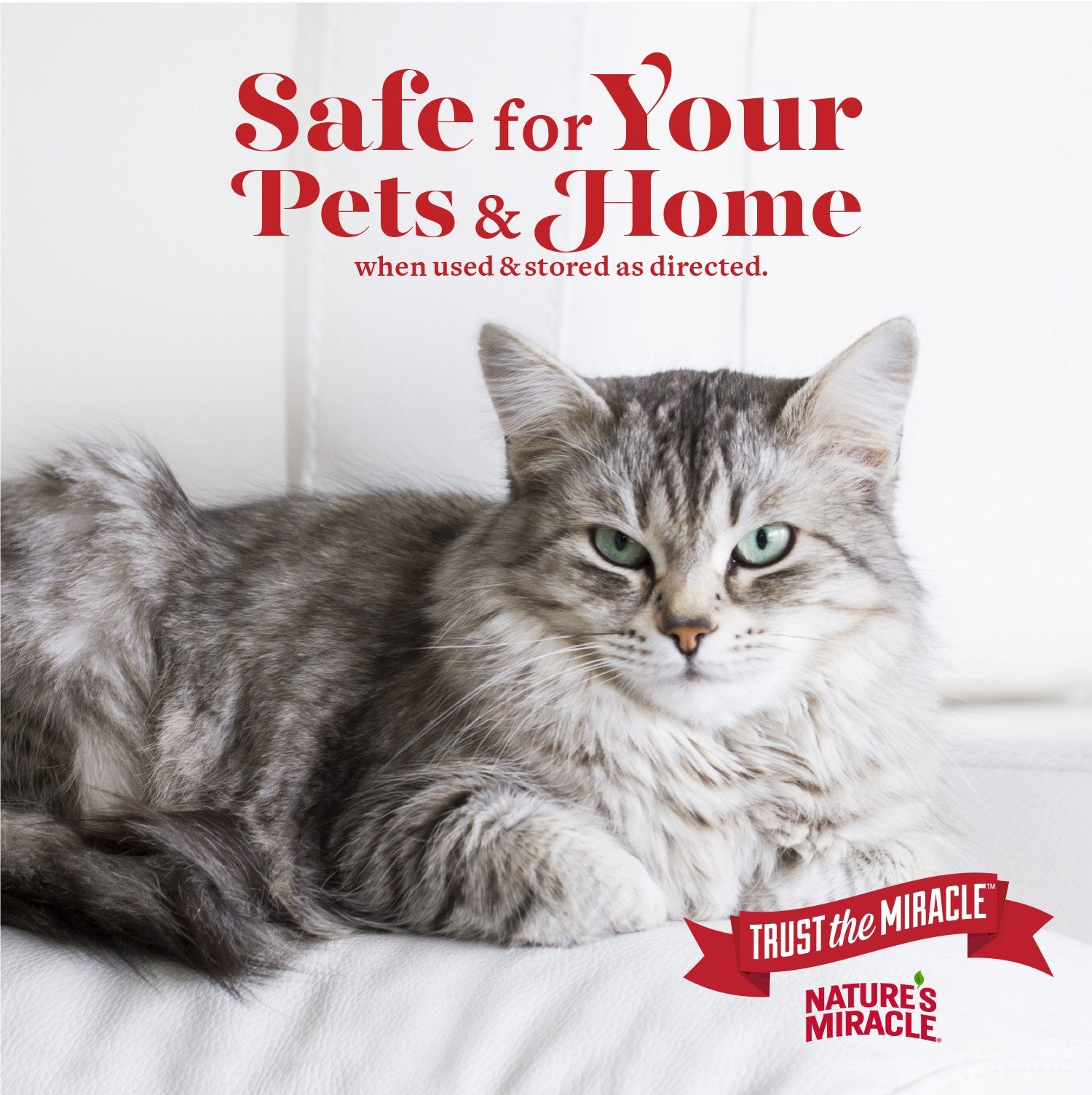 Nature’s Miracle Advanced Stain & Odor Eliminator application on fabric shows safe use on textiles.