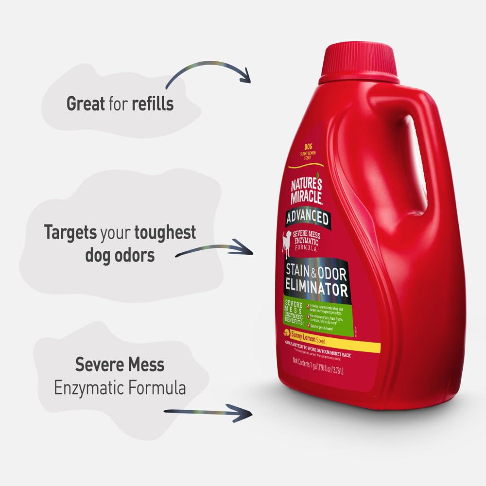 Product shot emphasizing safe use on carpets and furniture.
