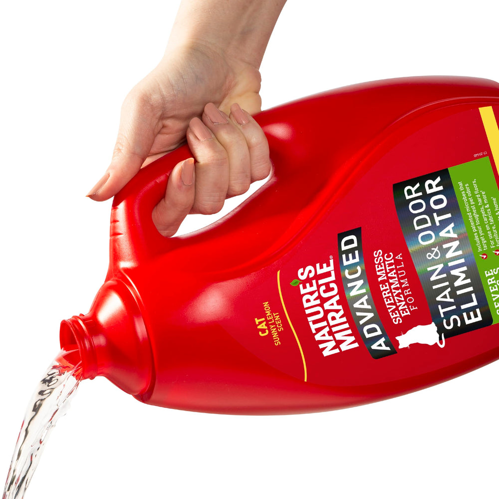 Nature's Miracle spray mist on carpet demonstrates enzymatic action.
