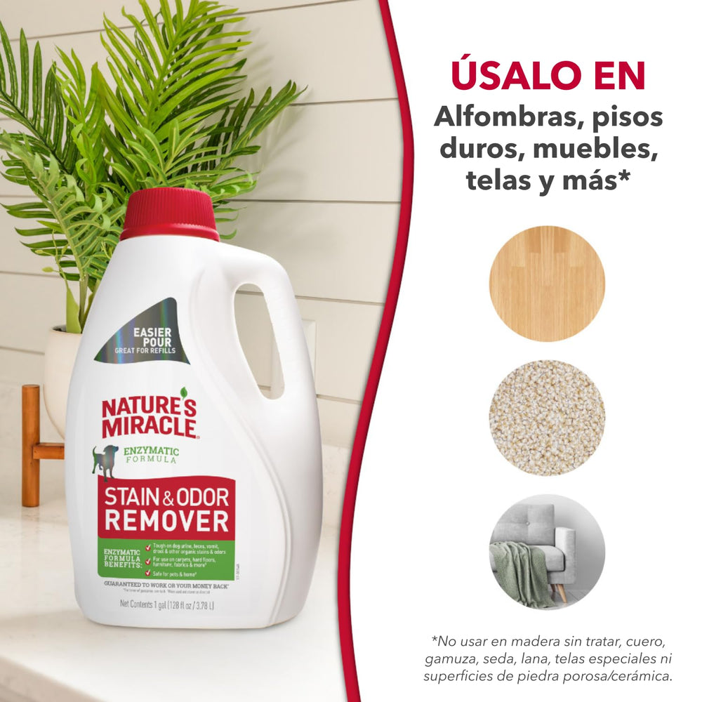 Dog urine stain treated with Nature's Miracle for odor control.