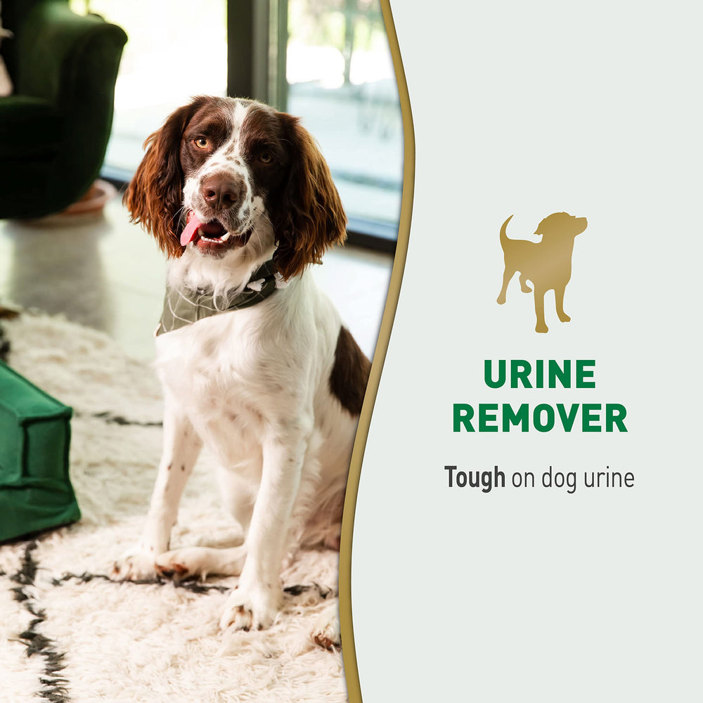 Nature's Miracle Dog Urine Remover bottle pour demonstrates easy application