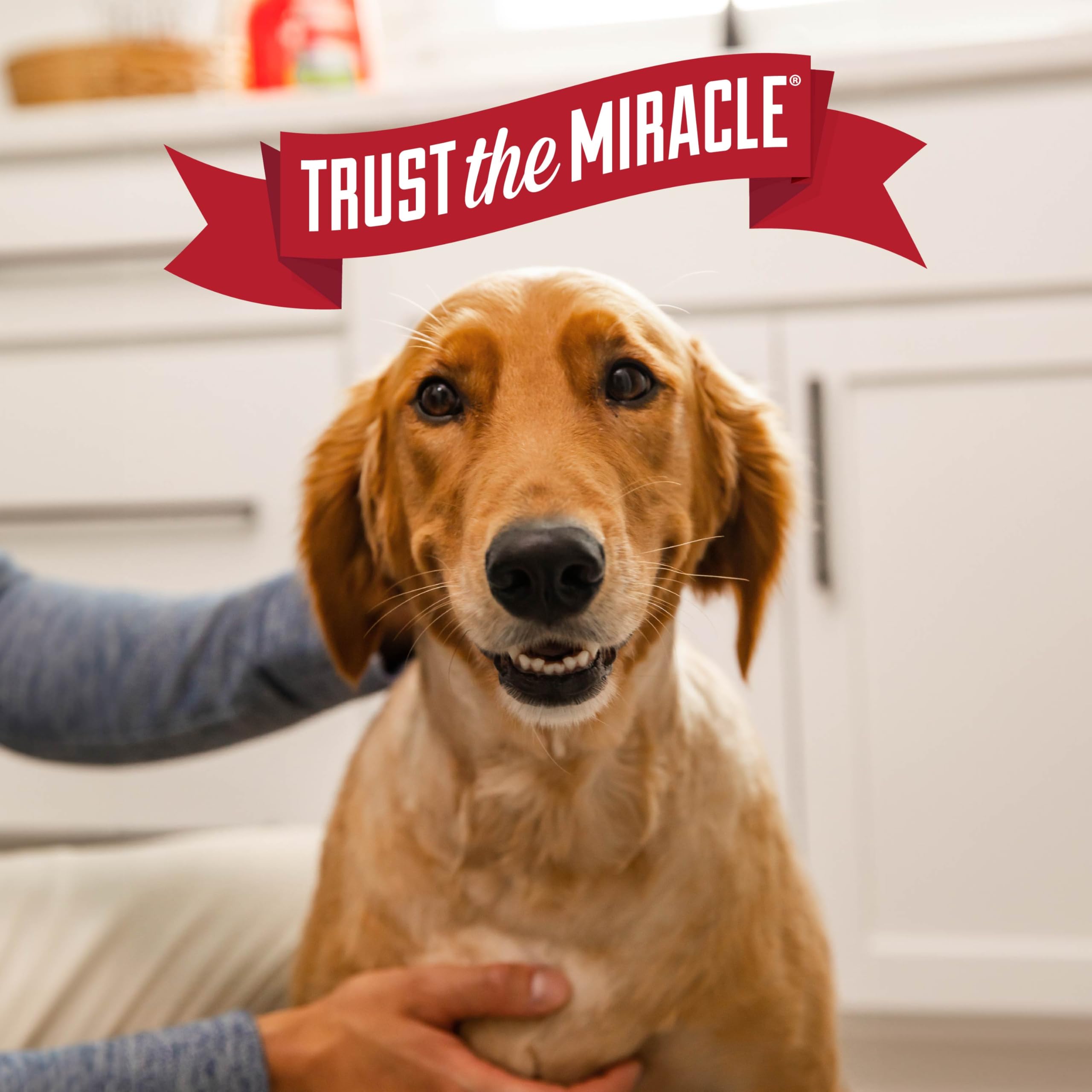 Nature's Miracle enzymatic action continues working as long as the source is present.