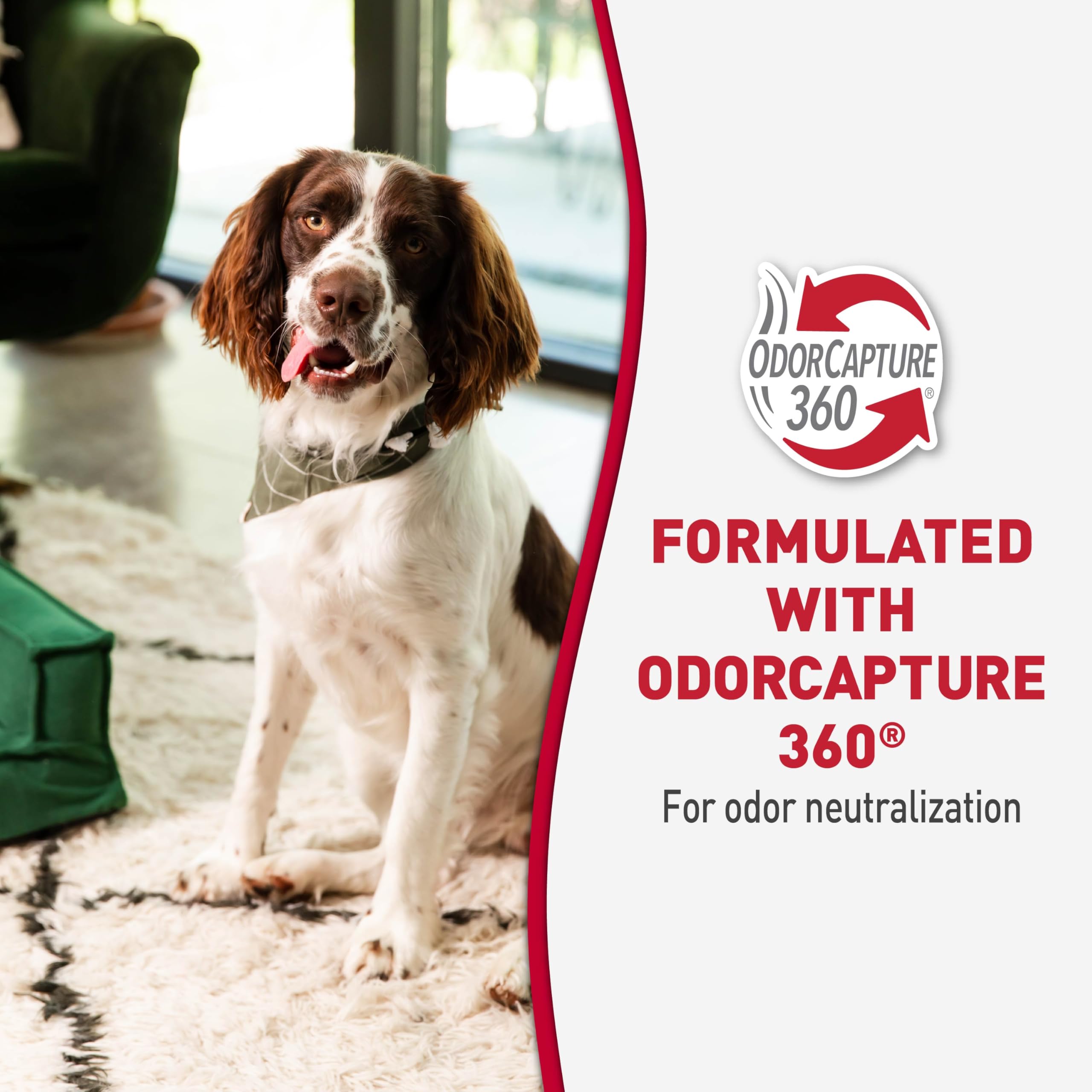 Nature's Miracle enzymatic formula tackles severe dog stains effectively
