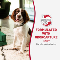 Nature's Miracle enzymatic formula tackles severe dog stains effectively