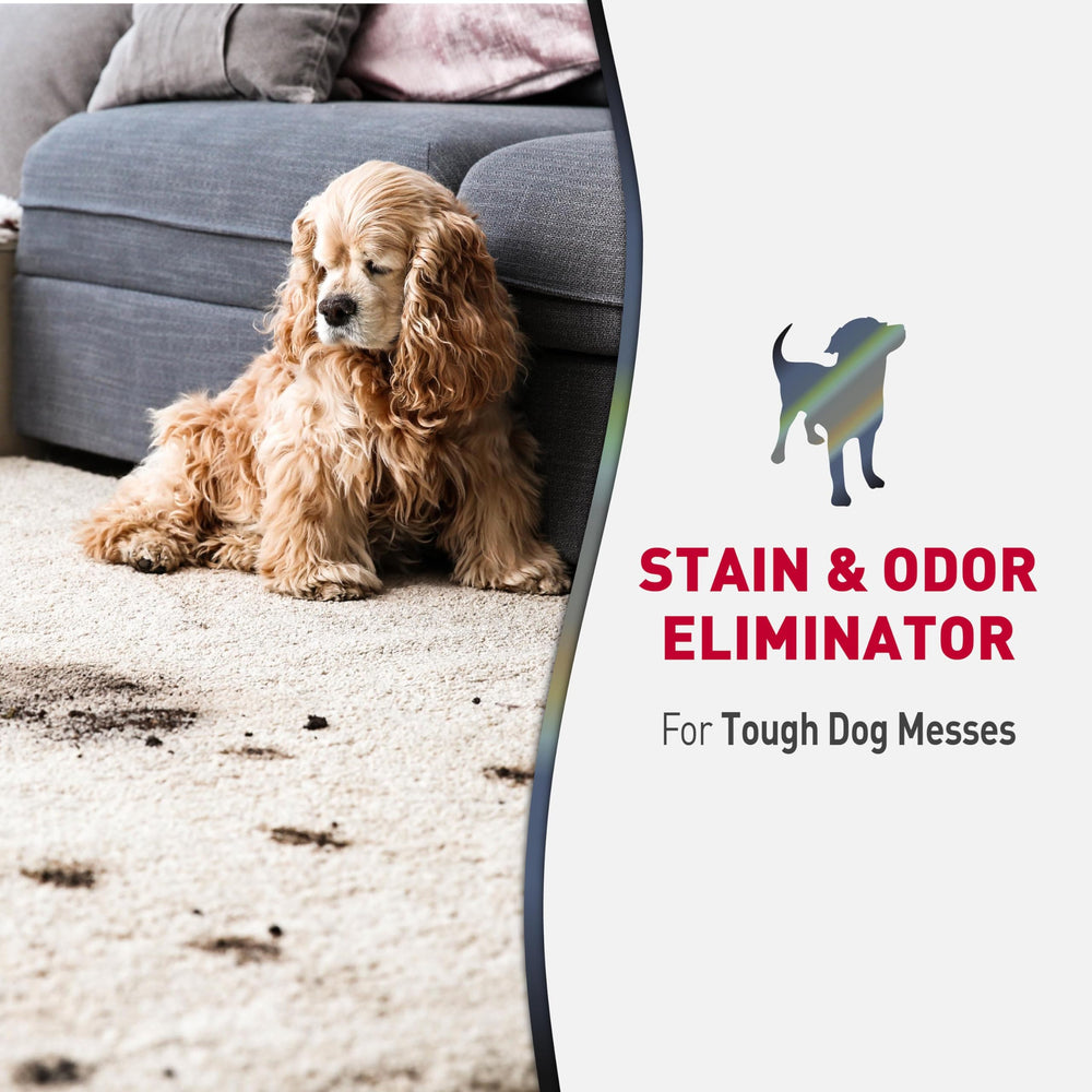 Foaming aerosol from Nature's Miracle evenly covers the mess for thorough cleaning