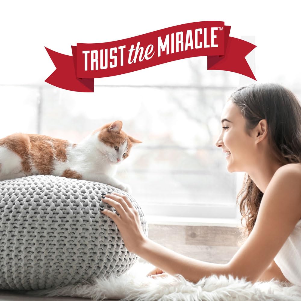 Nature's Miracle room and furniture odor removal solution in home setting